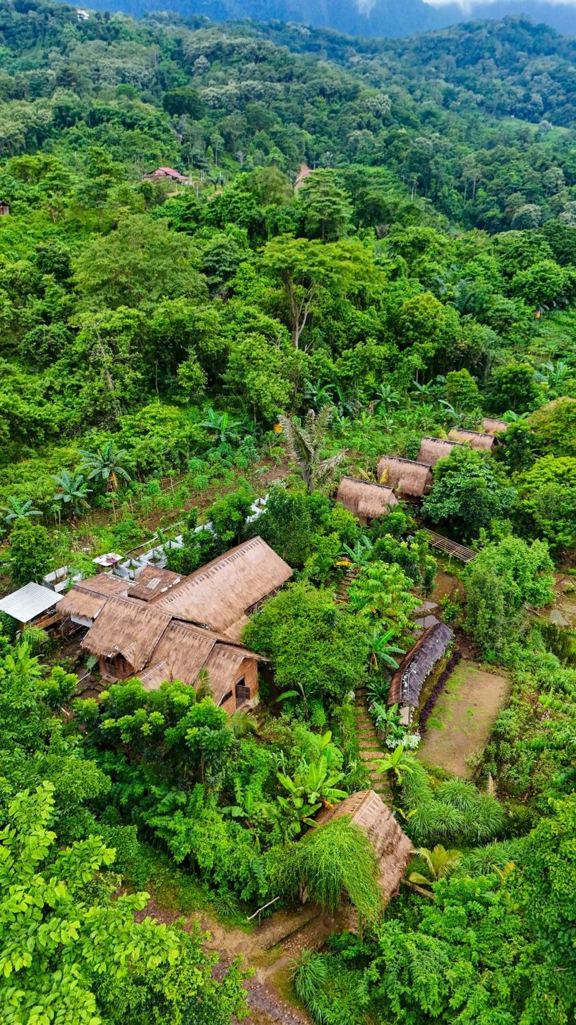 Sten Homestay