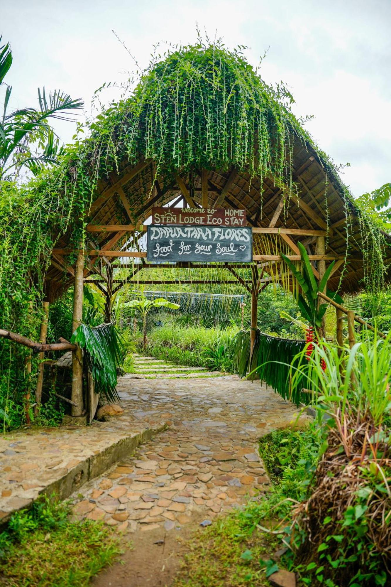 Sten Homestay *